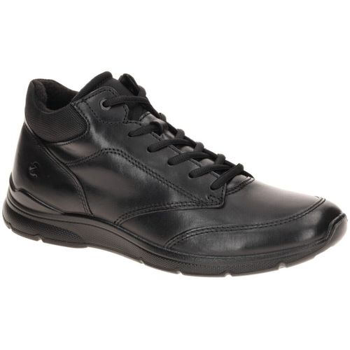 Baskets montantes Ecco - Ecco - Modalova