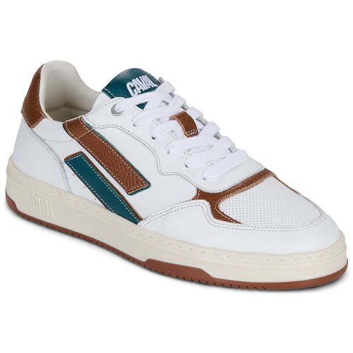 Baskets basses FLOW FOREST CALL - Caval - Modalova