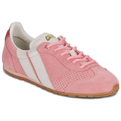 Baskets basses BALLET BERRY BLUSH - Caval - Modalova