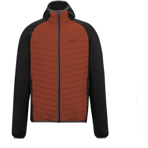 Vestes techniques Regatta Andreson - Regatta - Modalova