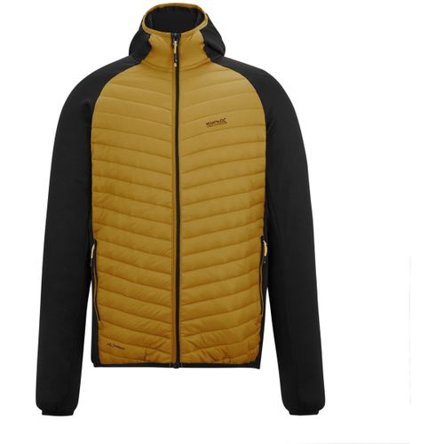 Vestes techniques Regatta Andreson - Regatta - Modalova