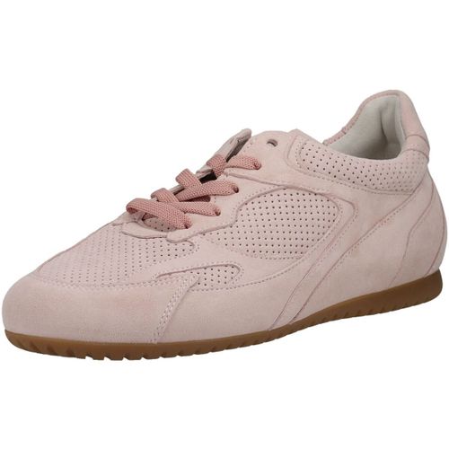 Baskets basses Gabor Sneaker - Gabor - Modalova