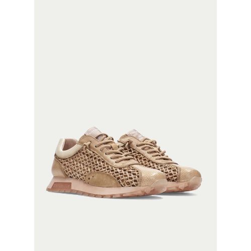 Baskets basses Hispanitas 41584 - Hispanitas - Modalova