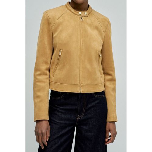 Blouson Salsa Blouson DAIM Camel - Salsa - Modalova
