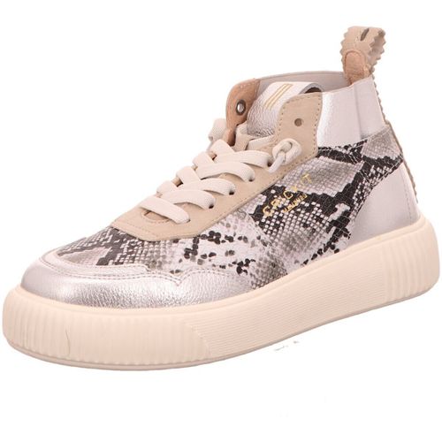 Baskets montantes Crick It - Crick It - Modalova