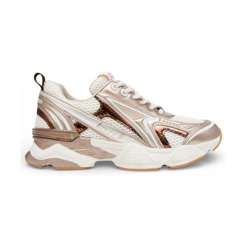 Baskets basses Baskets de course Speedster argentées dorées - Steve Madden - Modalova