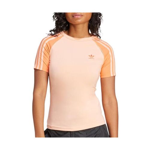 T-shirt Slim 3 bandes Adicolor - adidas - Modalova