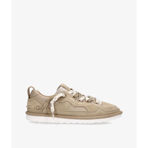 Baskets basses UGG MINIMEL - UGG - Modalova