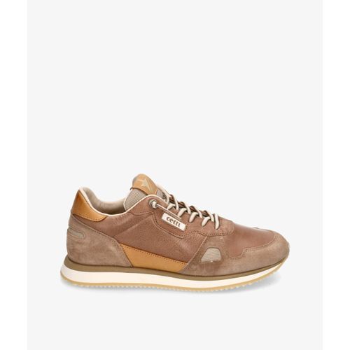 Baskets basses Cetti C-1397 - Cetti - Modalova
