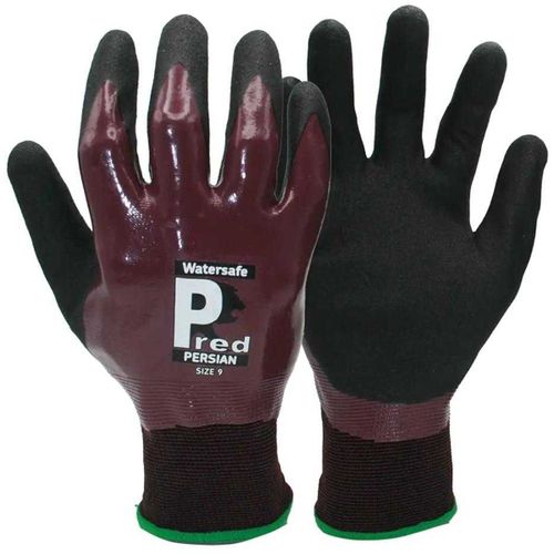 Gants Predator 10 TE576 - Predator - Modalova