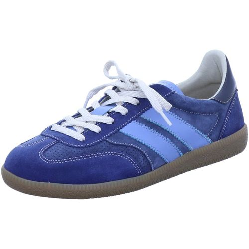 Baskets basses Caval - Caval - Modalova