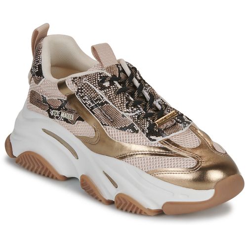 Baskets basses Steve Madden - Steve Madden - Modalova