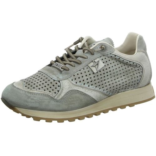 Baskets basses Cetti - Cetti - Modalova