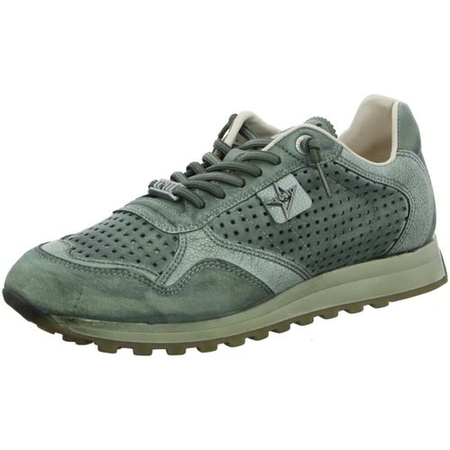 Baskets basses Cetti - Cetti - Modalova