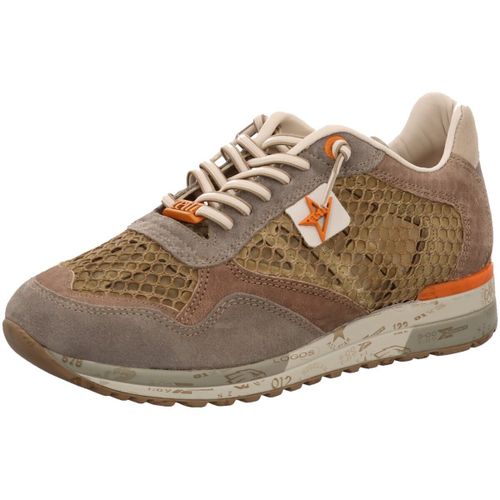 Baskets basses Cetti - Cetti - Modalova