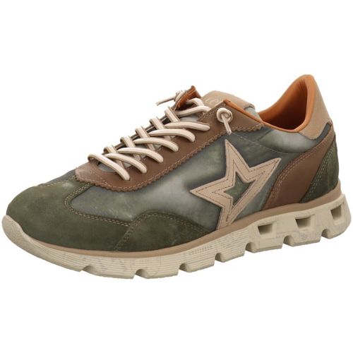 Baskets basses Cetti - Cetti - Modalova