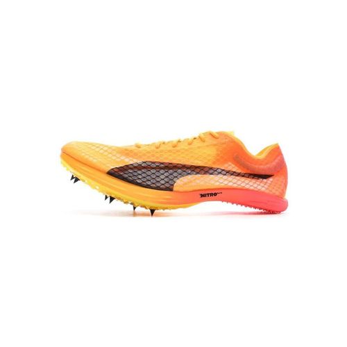 Chaussures Evospeed Distance Nitro Elite - Puma - Modalova