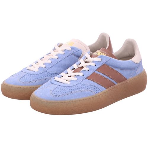 Baskets basses Caval - Caval - Modalova