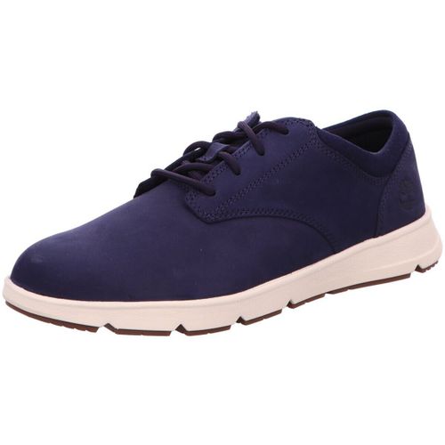 Baskets basses Timberland - Timberland - Modalova