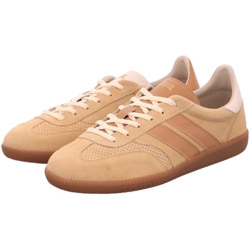 Baskets basses Caval - Caval - Modalova