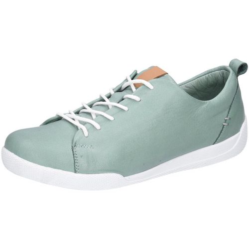 Baskets basses Andrea Conti - Andrea Conti - Modalova