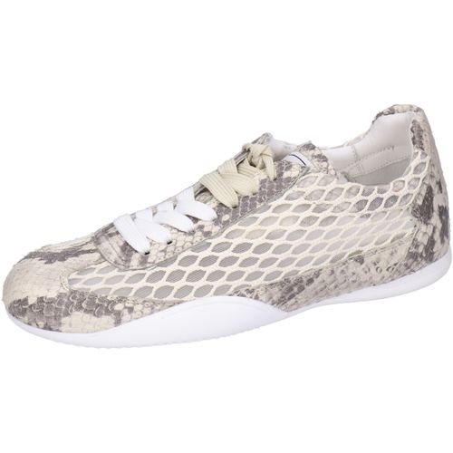 Baskets basses Sloane 6 - Melvin & Hamilton - Modalova