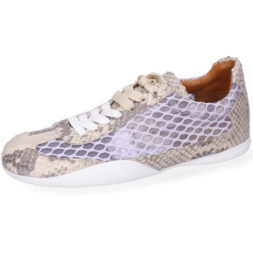 Baskets basses Sloane 6 - Melvin & Hamilton - Modalova