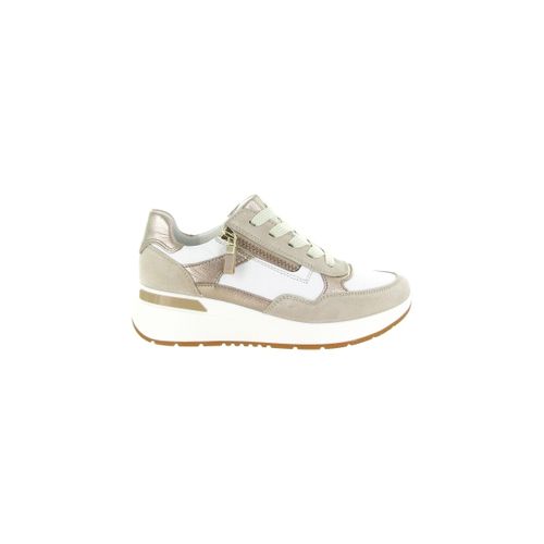 Baskets basses Ara 57702 GARDA - Ara - Modalova