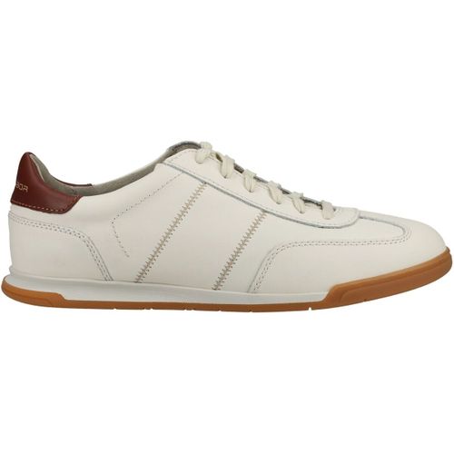 Baskets basses Pius Gabor Sneaker - Pius Gabor - Modalova