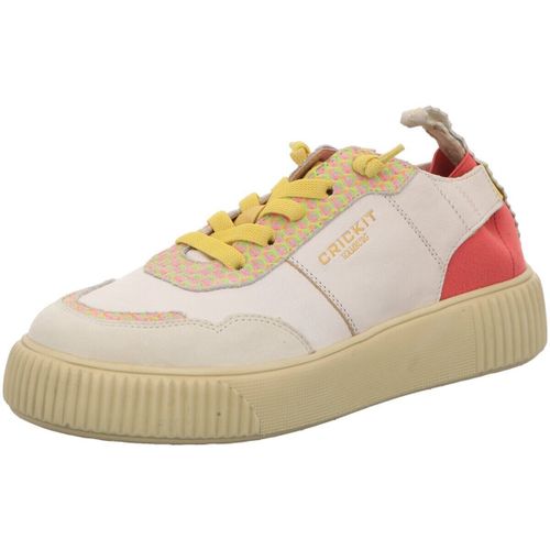 Baskets basses Crick It - Crick It - Modalova