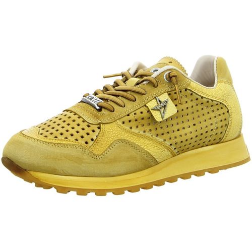 Baskets basses Cetti - Cetti - Modalova