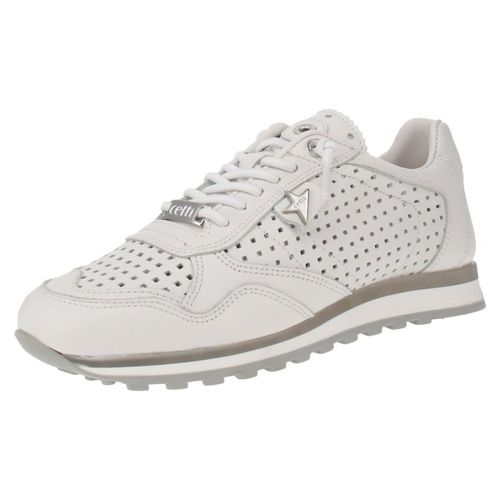 Baskets basses Cetti - Cetti - Modalova