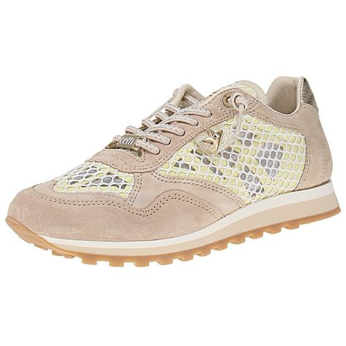Baskets basses Cetti - Cetti - Modalova