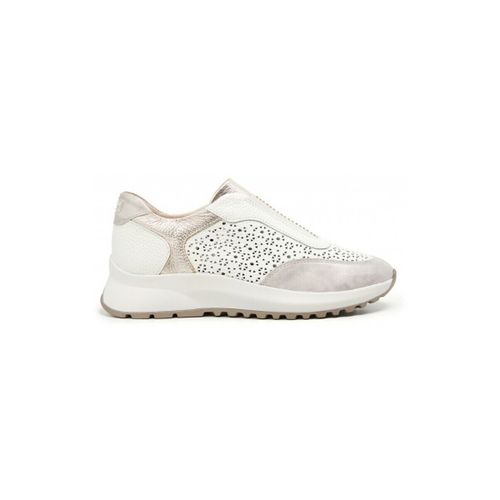 Baskets basses 24 Hrs 26468 - 24 Hrs - Modalova