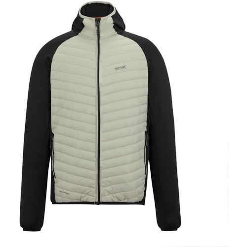 Vestes techniques Regatta Andreson - Regatta - Modalova
