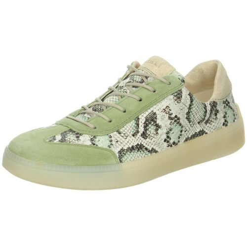 Baskets basses Think - Think - Modalova