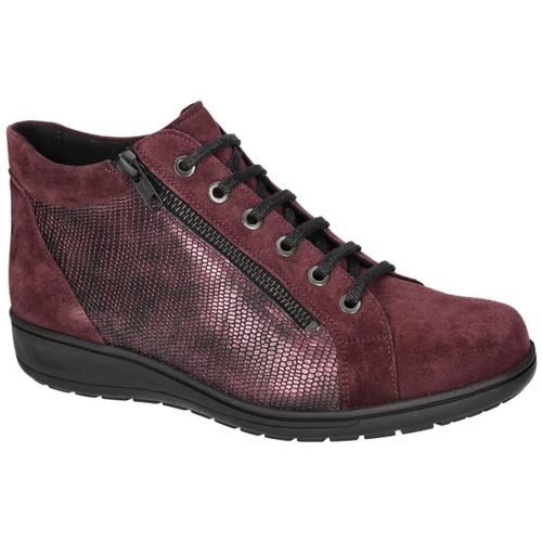 Bottines 29007-50219 Kate (k) - Solidus - Modalova