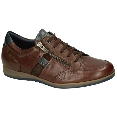 Baskets basses Fluchos Daniel F1280 - Fluchos - Modalova