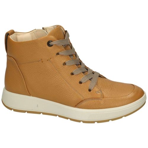 Bottines Ara 12-54309 Roma Plateau - Ara - Modalova