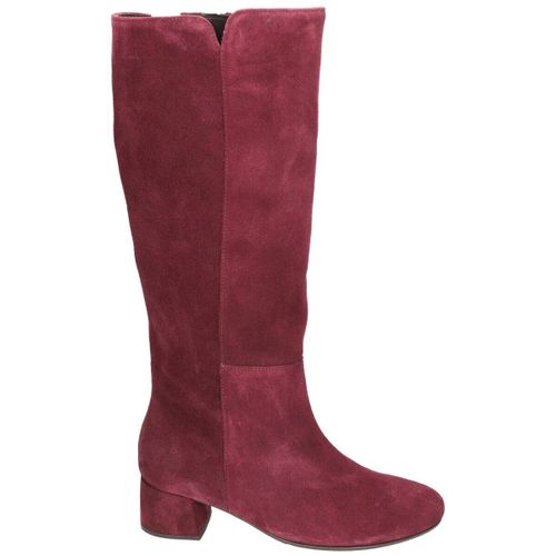 Bottines Gabor 75.689.15 - Gabor - Modalova