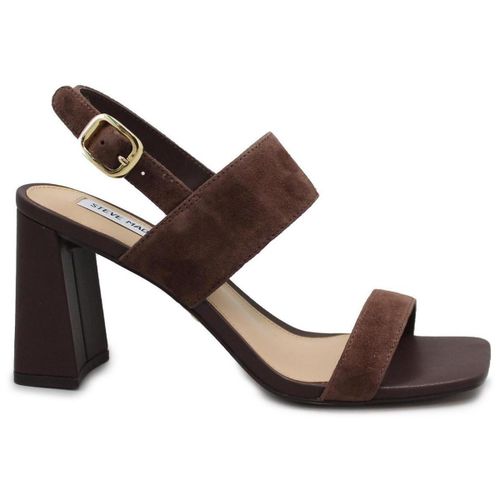 Sandales à talon STE-E26-WENDIE-CB - Steve Madden - Modalova