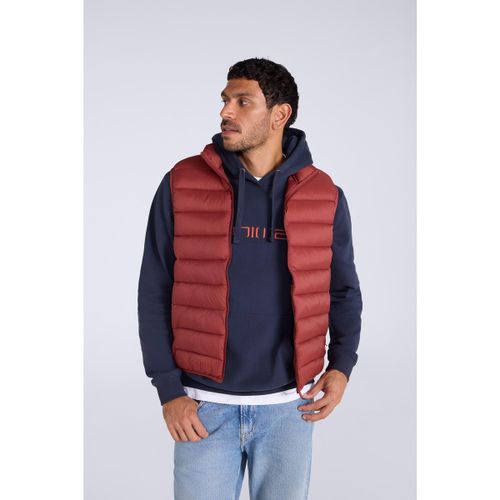 Veste Animal Light Cloud Cosi - Animal - Modalova