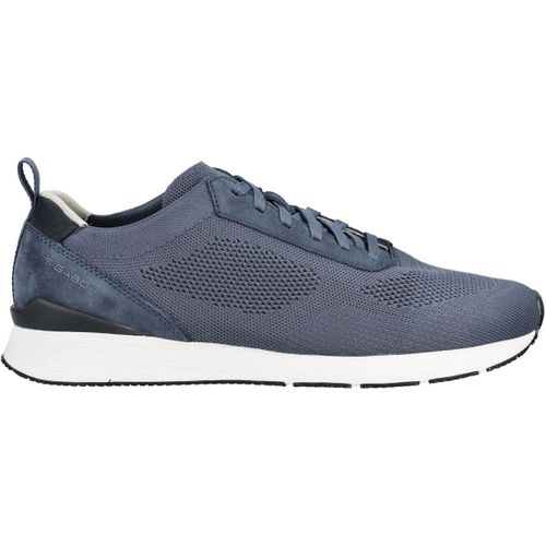 Baskets basses Pius Gabor Sneaker - Pius Gabor - Modalova