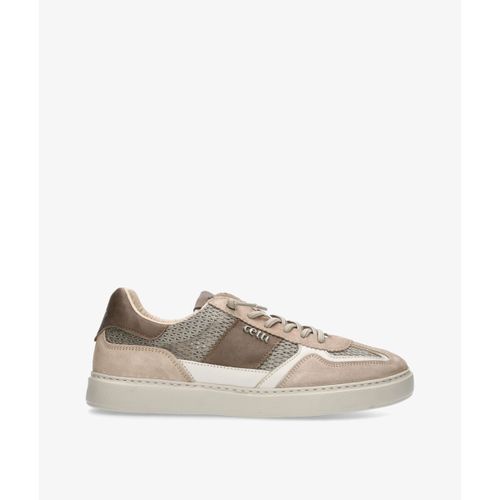 Baskets basses Cetti C-1395 - Cetti - Modalova