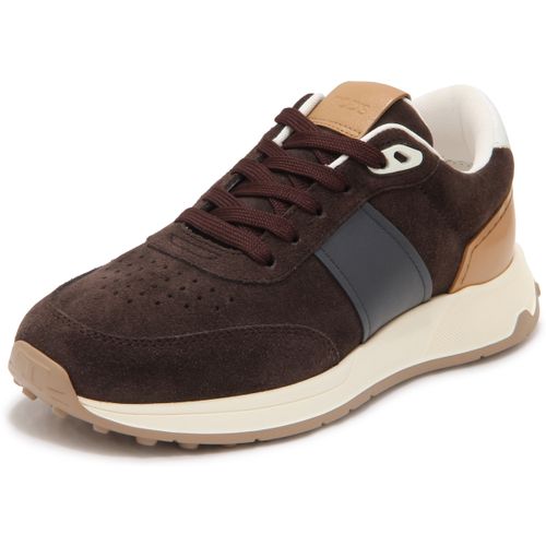 Baskets basses Tod's - Tod's - Modalova