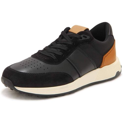 Baskets basses Tod's - Tod's - Modalova