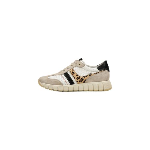 Baskets basses Dorking D9633CAKLC - Dorking - Modalova