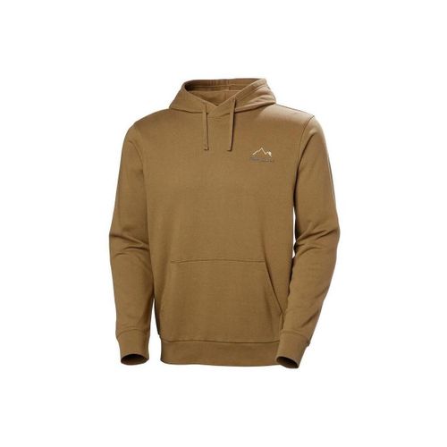 Sweatshirts à capuche 54527-718 - Helly Hansen - Modalova