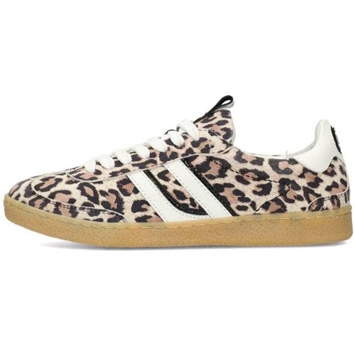 Baskets basses Poelman - Poelman - Modalova