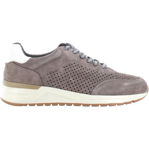 Baskets basses Valleverde VY973W - Valleverde - Modalova